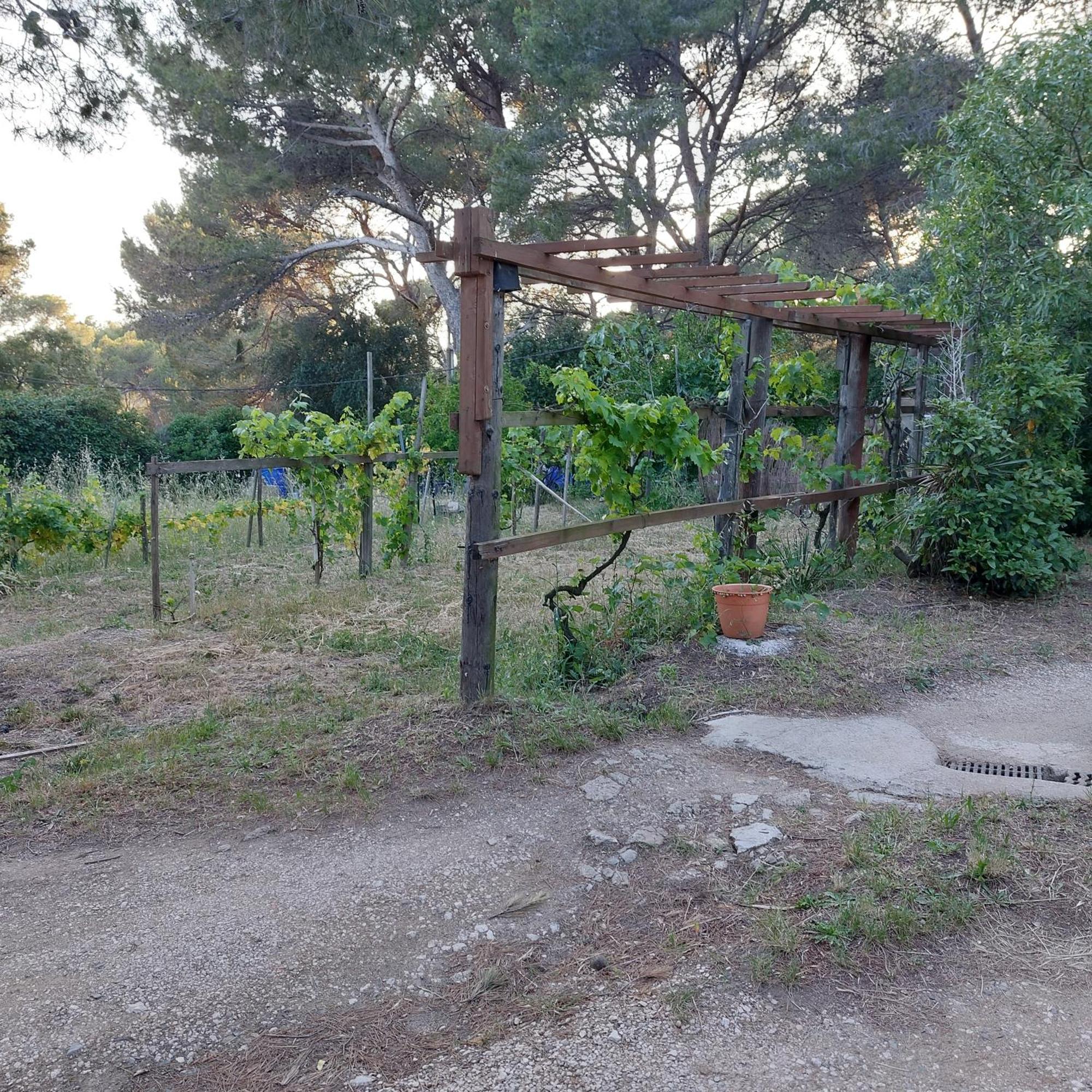 Naturetmer4 Six-Fours-les-Plages Exterior photo